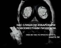 1024x808