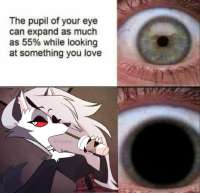 736x711