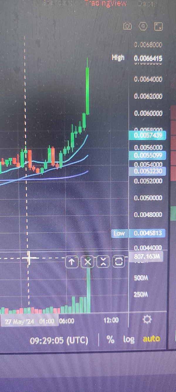 600x1333