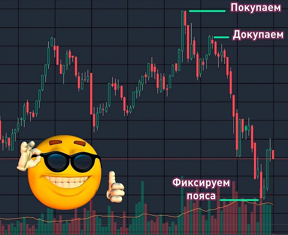 1000x817