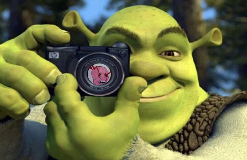 800x519