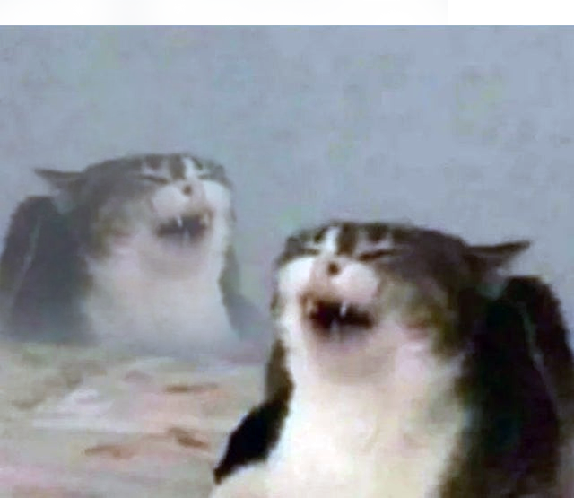 640x555