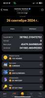 590x1280