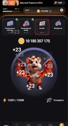464x848