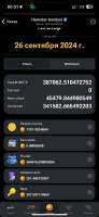 590x1280