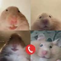 320x320