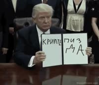 320x278