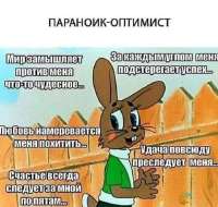 520x494
