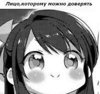 510x481