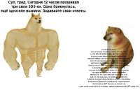 650x486