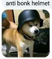 399x455
