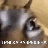 220x220