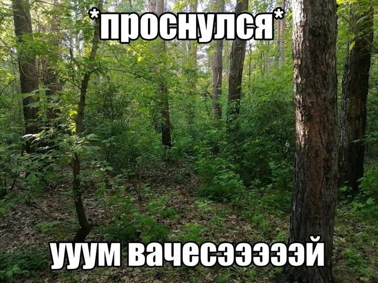 736x552