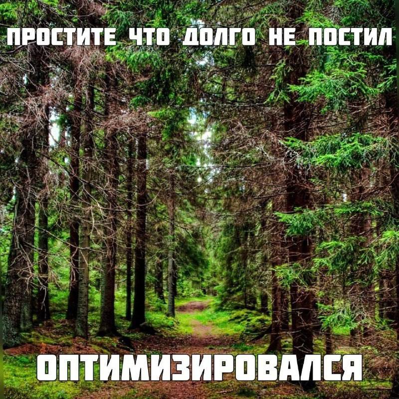 800x800