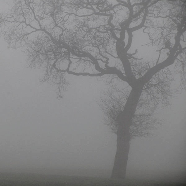600x600