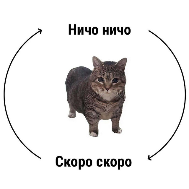 640x640