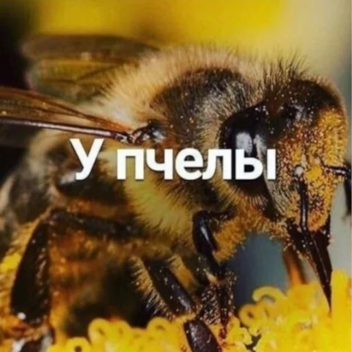 512x512