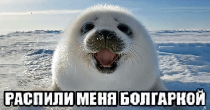 720x378