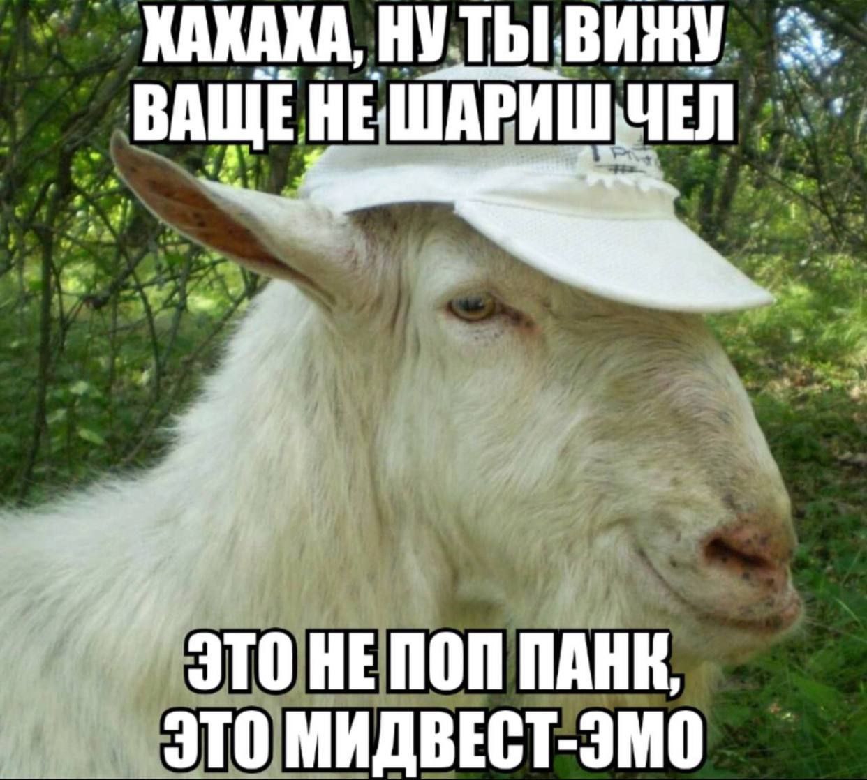 1242x1118