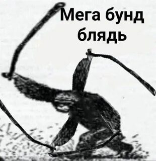 310x320