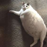 900x900