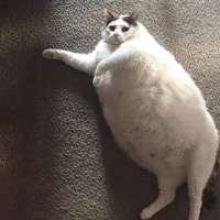 900x900