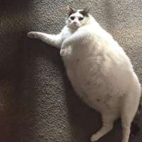 900x900