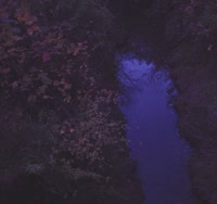 764x720