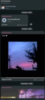 720x1600