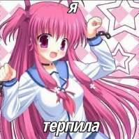 735x736
