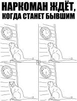 984x1280