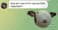 1080x561