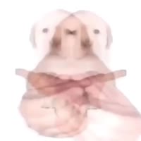 640x640