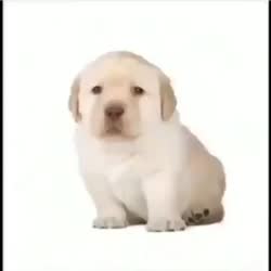 360x360