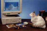 1280x869