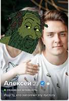 500x733