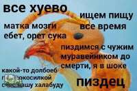 540x361