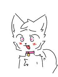 736x981