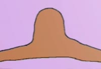 720x496