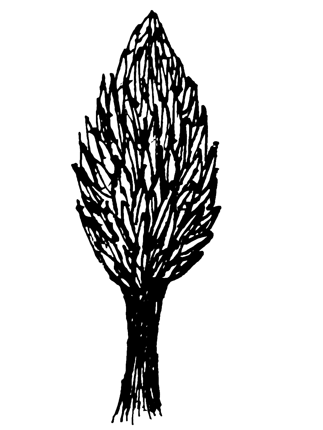 1030x1373