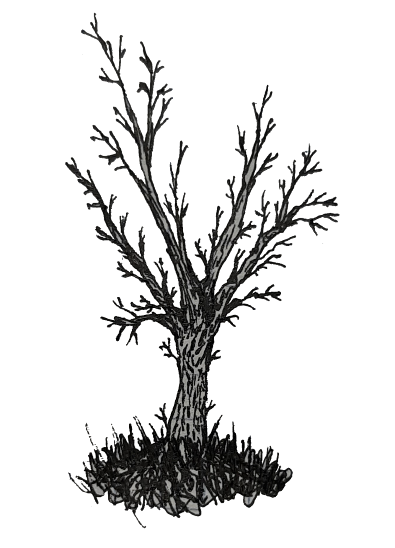 1338x1856