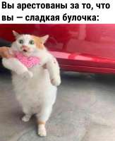 883x1080