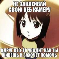 736x736