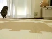 480x360