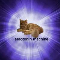 720x720