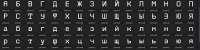 1246x313