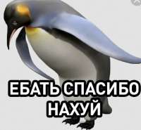 1084x1003