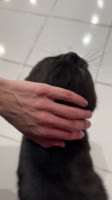 576x1024
