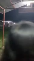 360x640