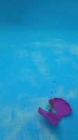 352x624